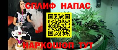 стаф Лесосибирск