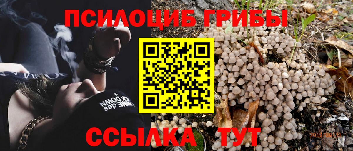Галлюциногенные грибы MAGIC MUSHROOMS Дедовск