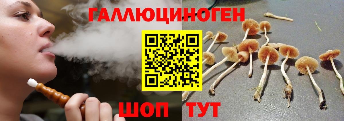 Дедовск  Галлюциногенные грибы ЛСД  Вход с VPN 